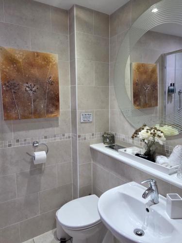 a bathroom with a toilet and a sink and a mirror at The Cairn at North Lodge, Rural Guest Suite in Kirriemuir