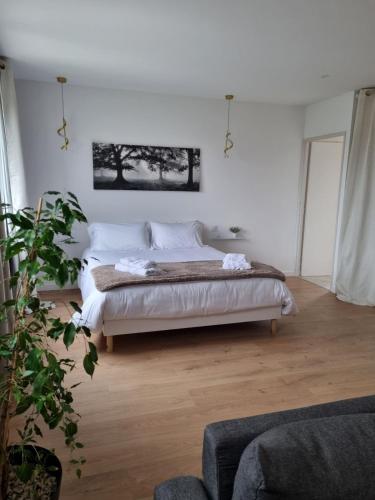Appartement de charme