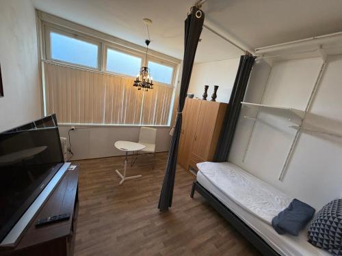 a room with a bed and a table and a desk at Rustige, zelfstandige studio- uitsluitend 1 persoon in Dedemsvaart