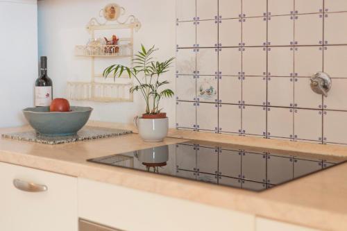 a kitchen with a bowl and a plant on a counter at Appartamenti Belvedere by ElbaSummer in Lacona