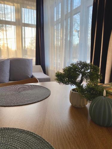 Vanapargi Residents Apartments in the city center