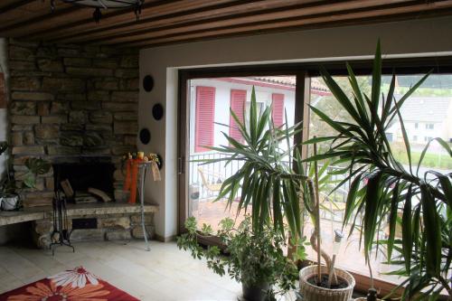 a room with potted plants and a sliding glass door at Hotel Heuberger Hof, Wehingen in Wehingen