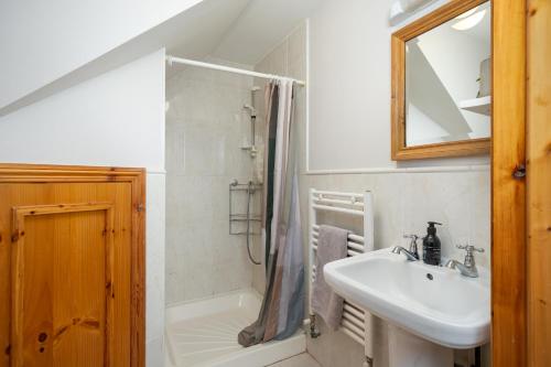 a bathroom with a sink and a toilet and a shower at Shannon View Jungle House in Athlone