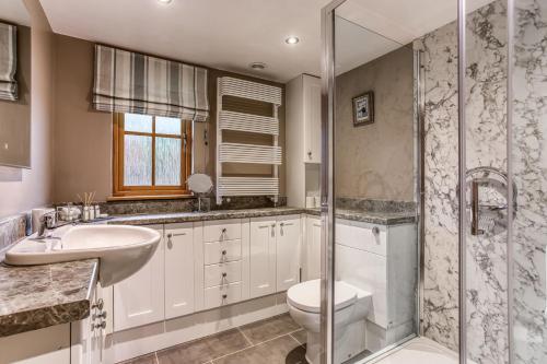 a bathroom with a toilet and a sink and a shower at Long Barn in Ludlow