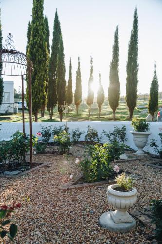 a garden with a bunch of trees and a fountain at The Hamlet in Swellendam