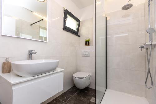 a bathroom with a sink and a toilet and a shower at Villa Mauro in Božava