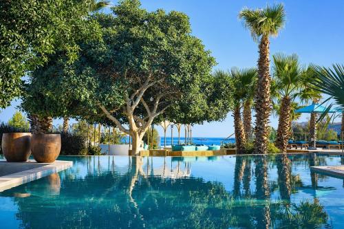 a swimming pool with palm trees and the ocean at Palazzo Navarone in Lindos