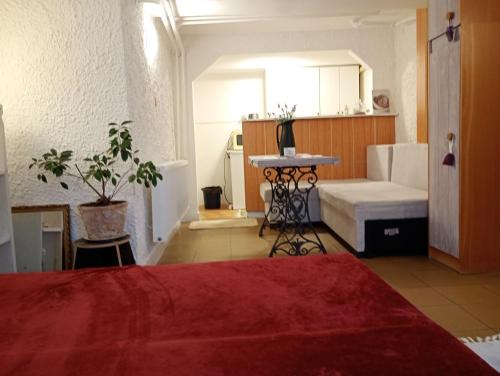 a bedroom with a bed and a couch and a table at Pearl of Danube in Chlʼaba