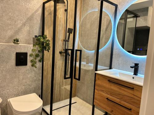 a bathroom with a shower with a sink and a toilet at Apartament 42 in Sosnowiec