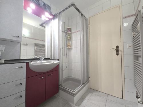 a bathroom with a shower and a sink and a shower at Panorama 20, Grosses Studio, Nahe Ski-Pisten, Parkplatz in Leukerbad