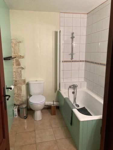 a bathroom with a toilet and a bath tub at La maisonnette de la venelle in Chaunay