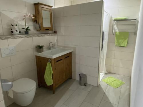 a small bathroom with a toilet and a sink at Ferienhof Windegg in Stockach