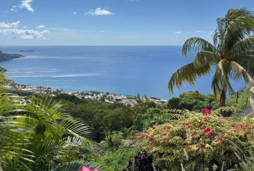 a palm tree sitting on top of a hill next to the ocean at Bas de Villa Tropical Soul in Pointe-Noire