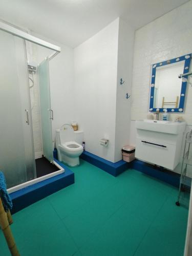 a bathroom with a toilet and a sink and a shower at Morsky Vanek Apartment in Flic-en-Flac