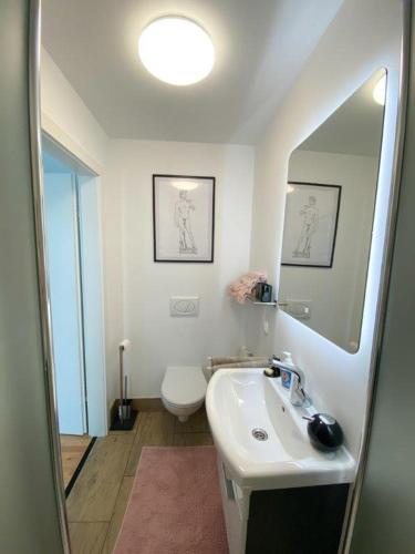 a bathroom with a sink and a toilet and a mirror at Klein und Fein in Hartberg