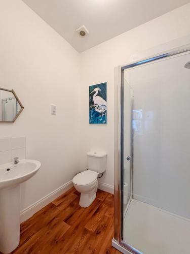 a bathroom with a toilet and a sink and a shower at Euston Road - Beach Apartment 9 in Great Yarmouth