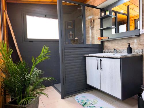 a bathroom with a sink and a counter at Ti Kaz Luxuriante - Jacuzzi Privé - Évasion Tropicale & Intimité in Saint-Louis