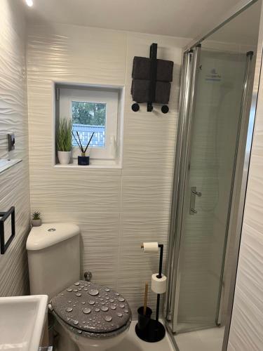 a small bathroom with a toilet and a shower at Duškova vila - apartmán Elisa in Opařany