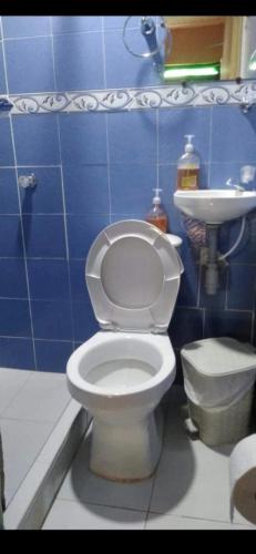 a bathroom with a white toilet and a sink at Hospedaje Hermanos Cardona in Armenia