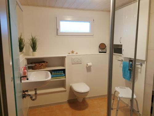 a bathroom with a sink and a toilet and a window at Ferienwohnung DORFWIESE in NuÃŸbaum