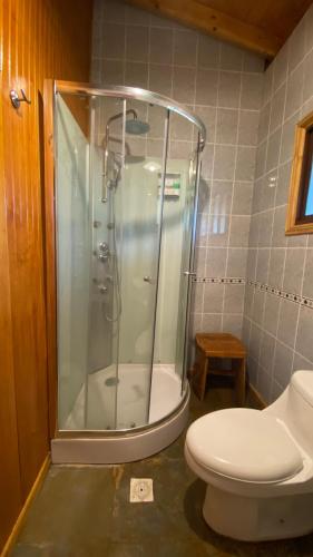 a bathroom with a shower and a toilet at Patagonia Bordelago Lodge in Puerto Ingeniero Ibáñez