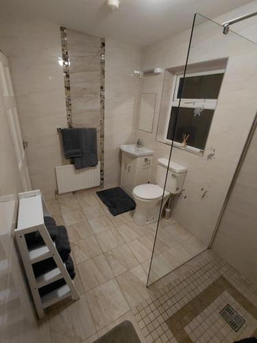a bathroom with a shower and a toilet and a sink at GiGi's Bungalow in Galway