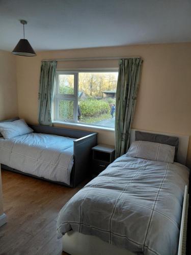 a bedroom with two beds and a window at GiGi's Bungalow in Galway