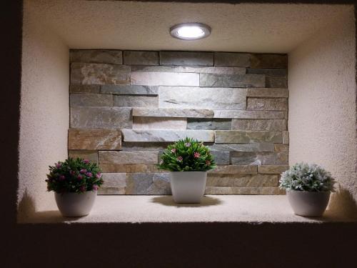 two potted plants sitting on a ledge in front of a stone wall at Lilian Apartments in Budva