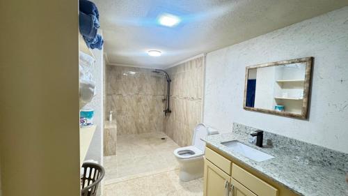 a bathroom with a toilet and a sink and a shower at Amaro Villas 1246 Barbados 231 Feel like when you're home 1839 in Saint Thomas