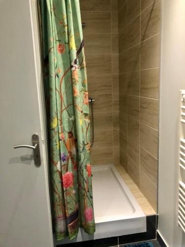 a shower with a shower curtain in a bathroom at Au Passe-Temps in Mettray