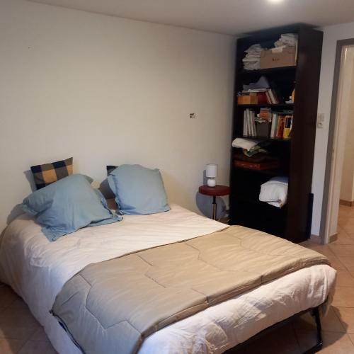 a bedroom with a large bed with blue pillows at Vive le vert pomme ! in Saint-Romain-sur-Vienne