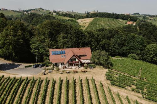 an aerial view of a vineyard with a house at Gästezimmer & Weingut Gamser in Leutschach