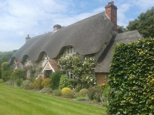 a house with a thatched roof with a green yard at The Cottage in Fyfield