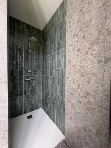 ein Badezimmer mit Dusche und grünen Fliesen in der Unterkunft Maison 1880 in Annonay