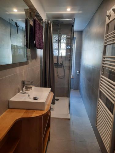 un bagno con lavandino e doccia di Ecrin de Valdeblore a Valdeblore