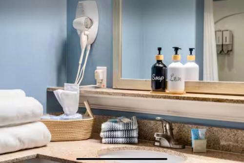 a bathroom sink with a blow dryer and a mirror at Blue Heron Resort in Orlando
