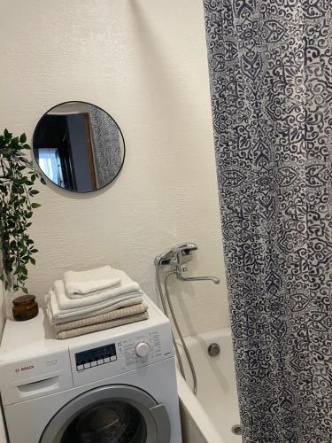 ein Badezimmer mit Waschmaschine und Spiegel in der Unterkunft Skolas 1 in Salaspils