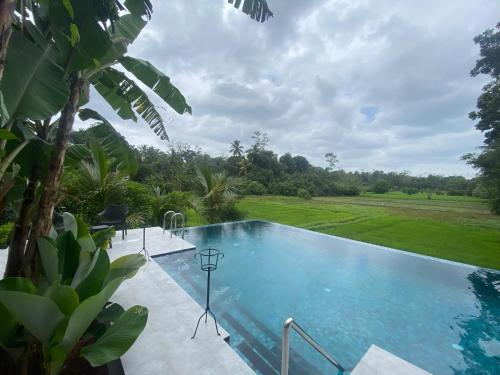 a swimming pool in the middle of a yard at Casa Monkey 28 in Bentota
