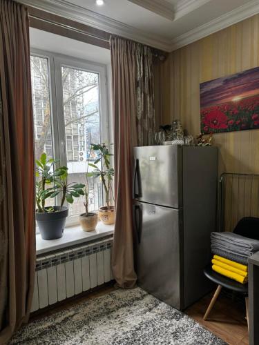 una cocina con nevera y ventana en Hôtel Baldei, en Chişinău