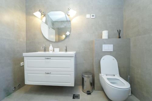 a bathroom with a toilet and a sink and a mirror at KLM holiday home in Rupalj