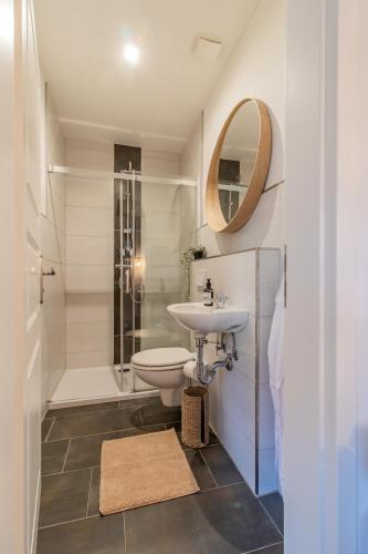 a bathroom with a sink and a toilet and a shower at Innenhof-Quartier in Meerane