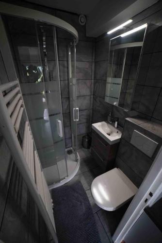 a bathroom with a toilet and a sink and a mirror at Les Epinettes Studio Prairie in Gérardmer
