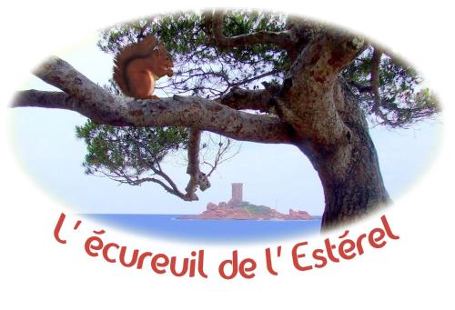a picture of a lion sitting in a tree at L'Ecureuil de l'Estérel in Saint-Raphaël