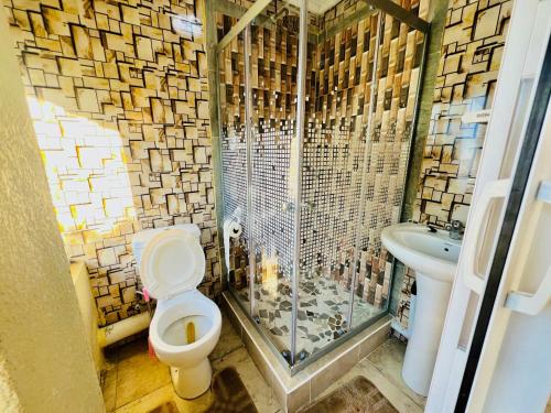 a bathroom with a toilet and a sink at Honeyhills Excellence Resort E in Roodepoort