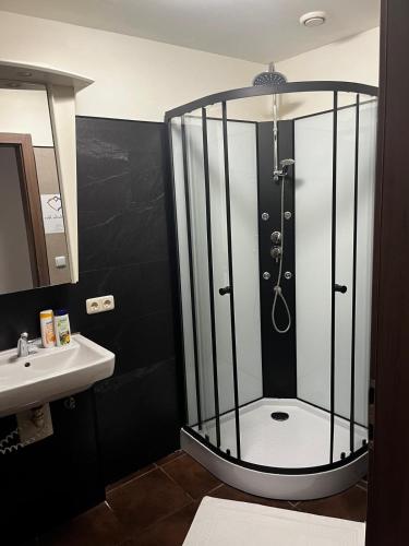 a bathroom with a shower and a sink at Rohrbacher Herz in Rohrbach in Oberösterreich