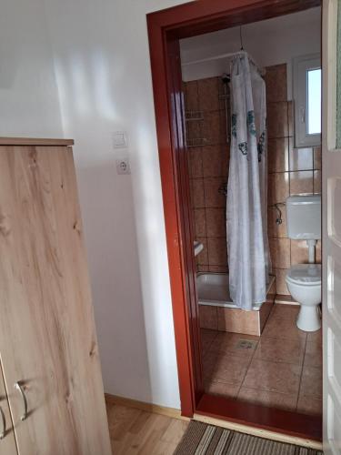 a bathroom with a shower and a toilet and a sink at Enikő vendegház in Praid