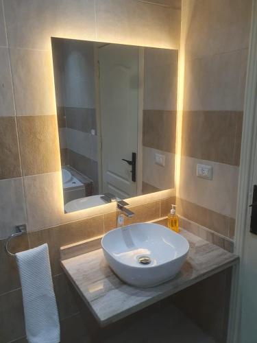 a bathroom with a sink and a mirror at سي فيو سان ستفانو in Alexandria
