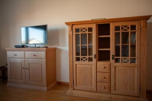 a room with a cabinet and a tv and a entertainment center at Atelier am Hochrhein in Büsingen