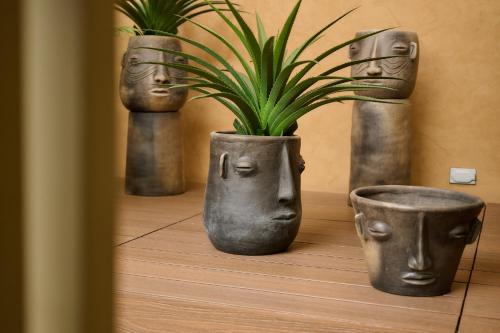 three planters with faces on them sitting on a table at Suites el Consuelo in Oaxaca City