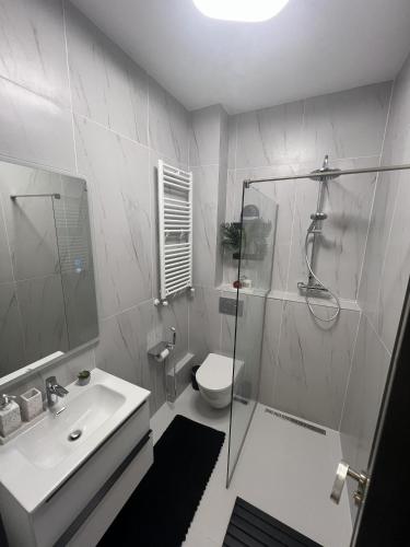 a bathroom with a shower and a toilet and a sink at One Bedroom Apartment with Terrace in Oradea